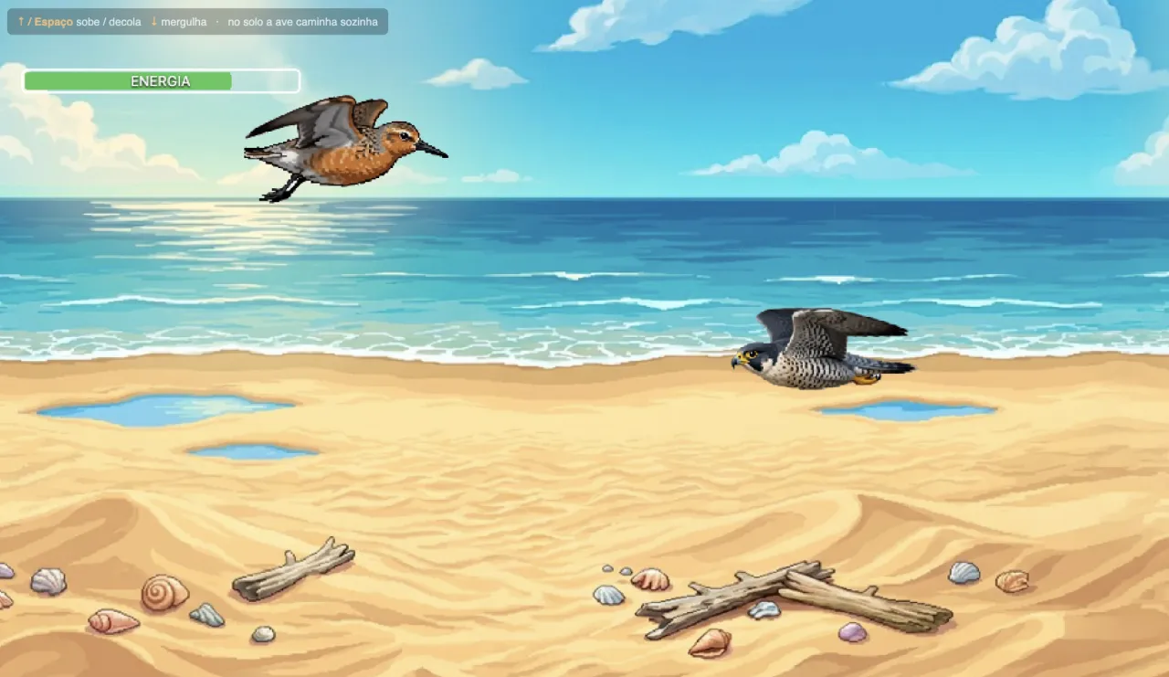 Jogo arcade: fase na costa com maçarico migratório em voo e obstáculos da rota.