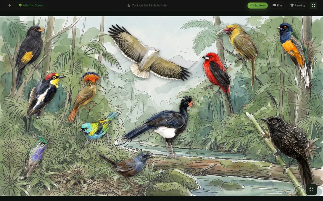 Mural interativo: ambiente costeiro em aquarela digital com aves clicáveis que tocam vocalização.